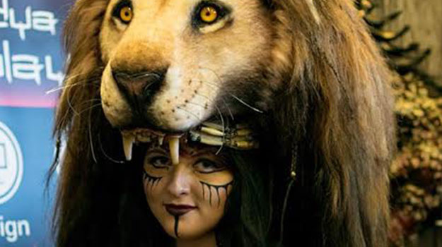 Cosplay Lion.